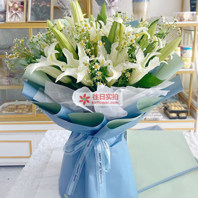 杭州8支白色多头百合洋甘菊，互倾的思念