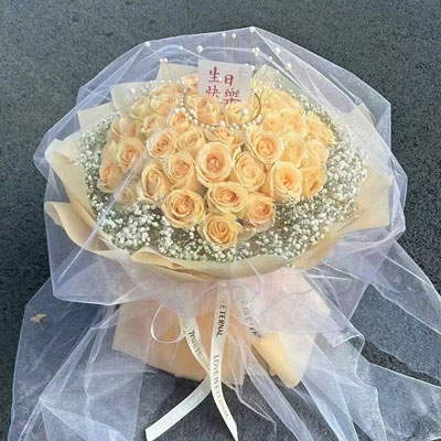 杭州52朵香槟玫瑰满天星，你就是我的全部