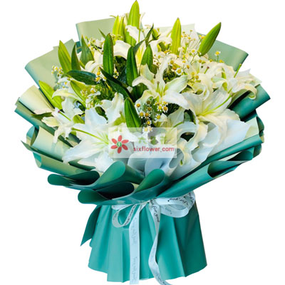 杭州8支白色多头百合洋甘菊，如潮的思念