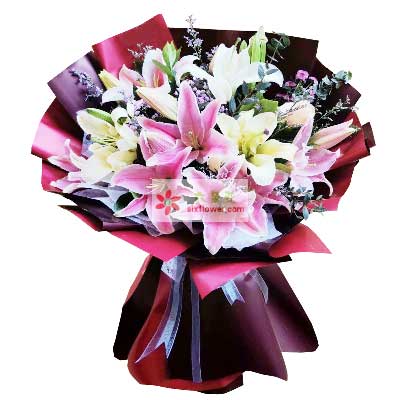 杭州8支百合花，天天开心